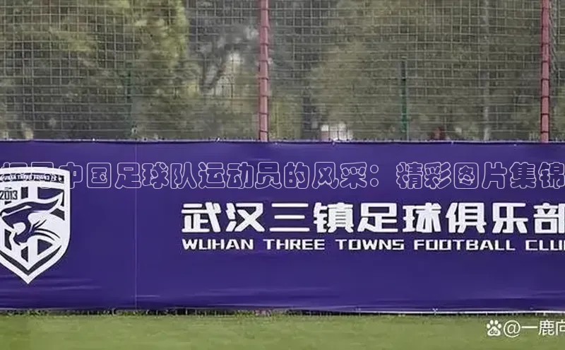 星欧会员平台登录入口文心一言探寻中国足球队运动员的风采：精彩图片集锦