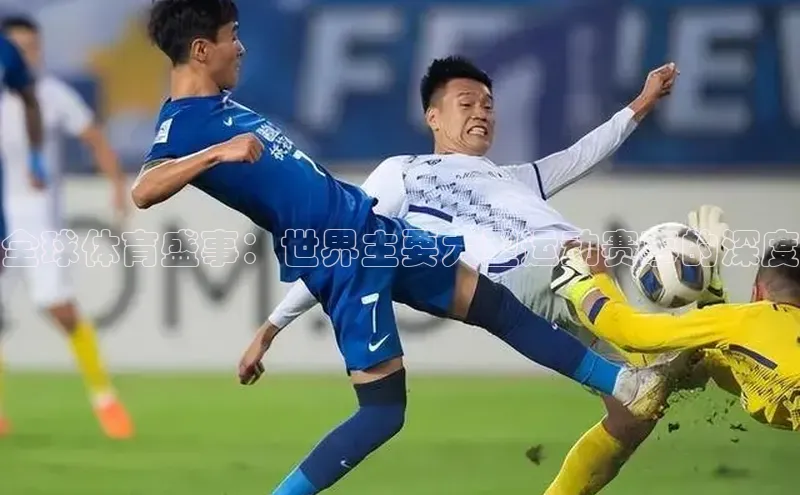 星欧娱乐平台测速线路赛富乐斯全球体育盛事：世界主要大型运动赛事的深度