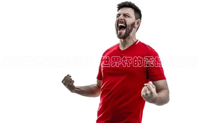 全球最热运动赛事：世界杯的震撼与激情