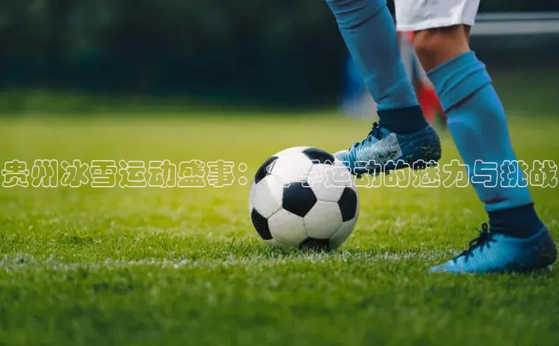 贵州冰雪运动盛事：冬季运动的魅力与挑战