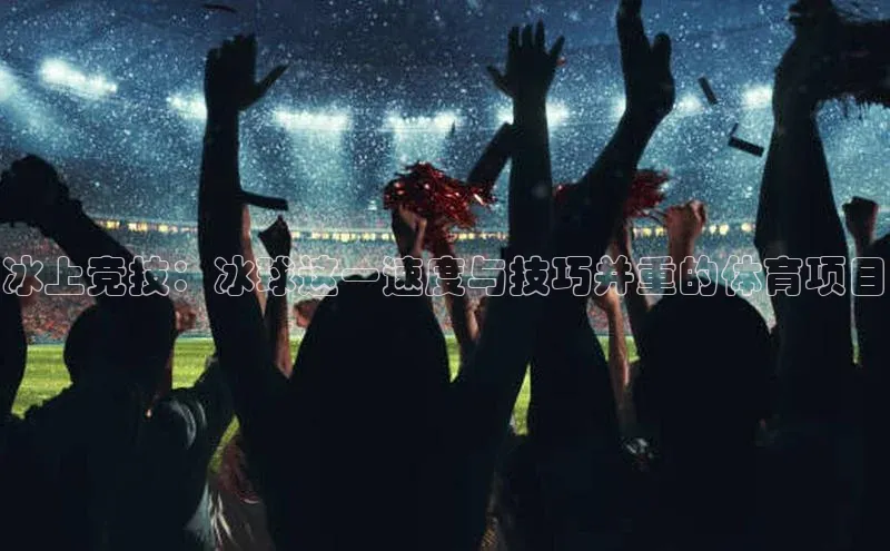 冰上竞技：冰球这一速度与技巧并重的体育项目